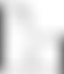 Изображение карточки лота