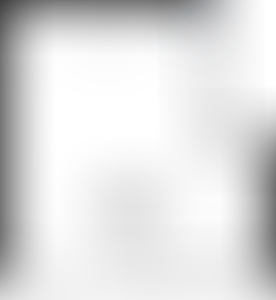 Изображение карточки лота