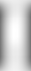 Изображение карточки лота