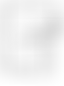 Изображение карточки лота