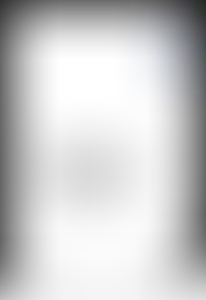 Изображение карточки лота