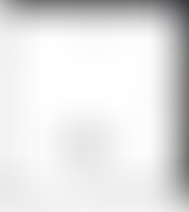 Изображение карточки лота