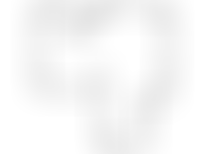 Изображение карточки лота