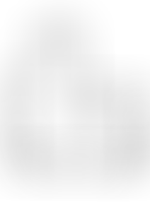 Изображение карточки лота