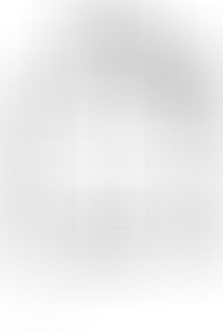 Изображение карточки лота