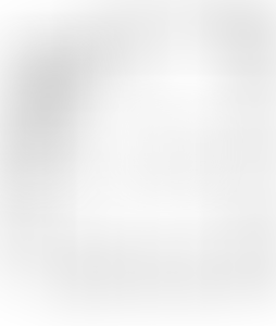 Изображение карточки лота