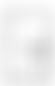 Изображение карточки лота