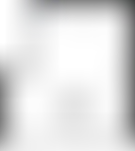 Изображение карточки лота