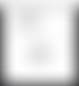 Изображение карточки лота