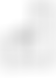 Изображение карточки лота