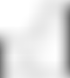 Изображение карточки лота