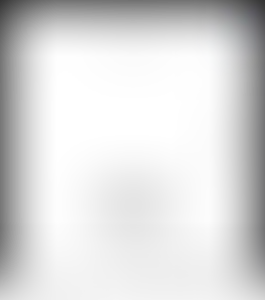 Изображение карточки лота