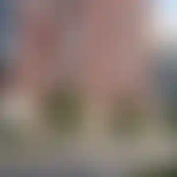 Кафе, рестораны, бары