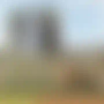 Два детских сада