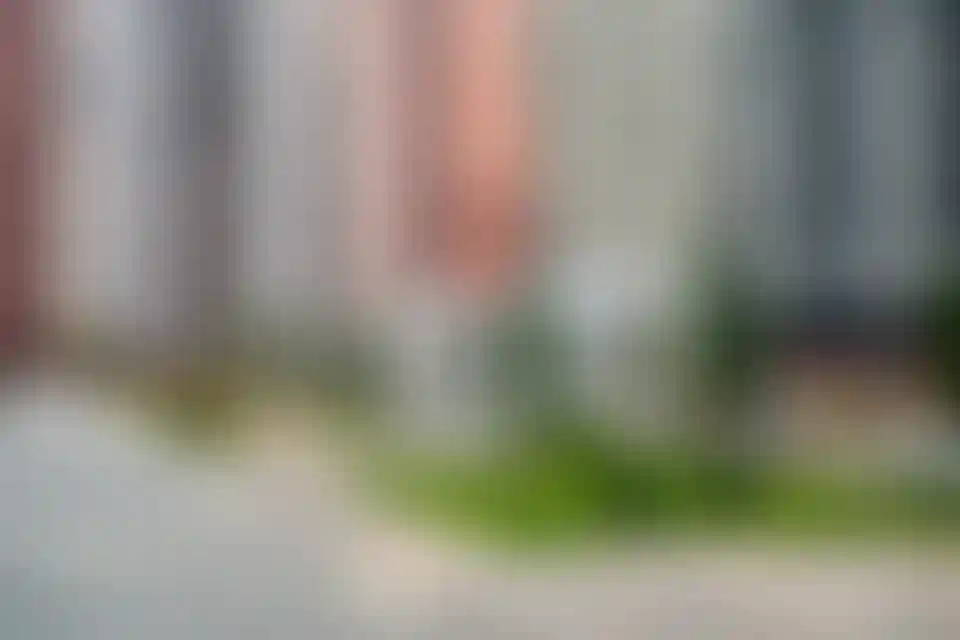 Изображение галереи