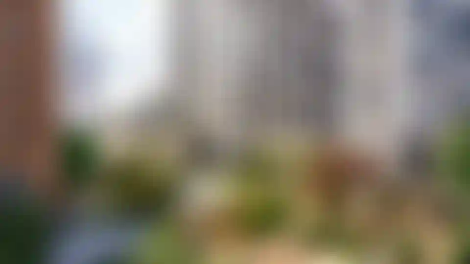 Изображение галереи