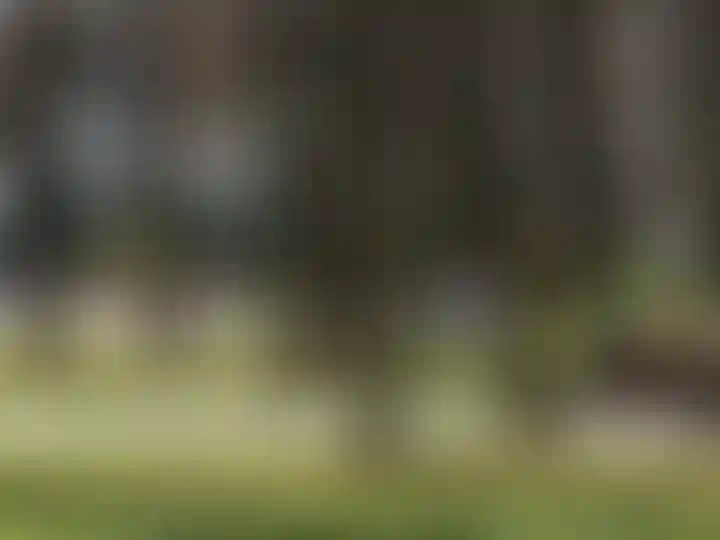 Изображение галереи