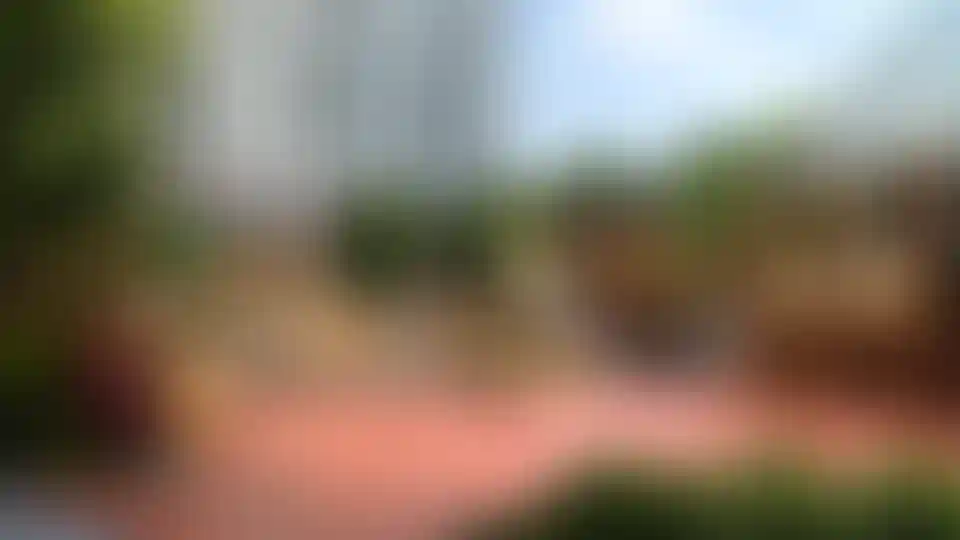 Изображение галереи