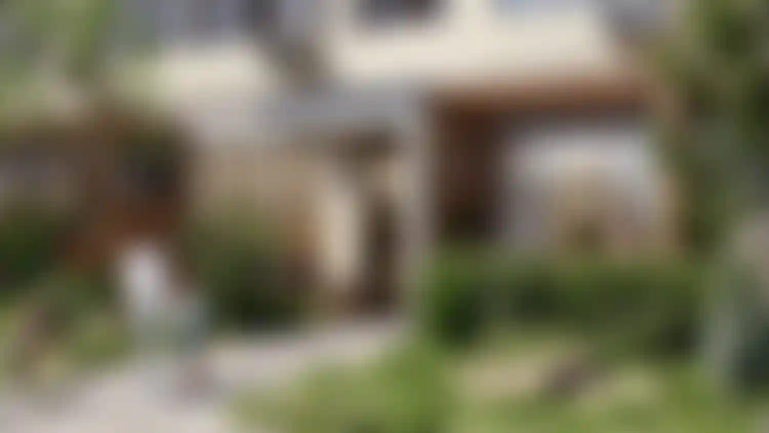 Изображение галереи