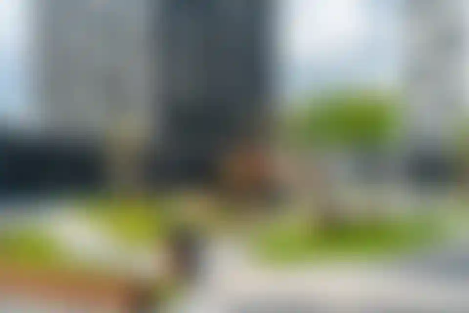 Изображение галереи