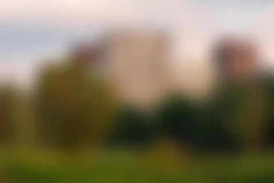 Изображение галереи