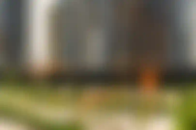 Изображение галереи