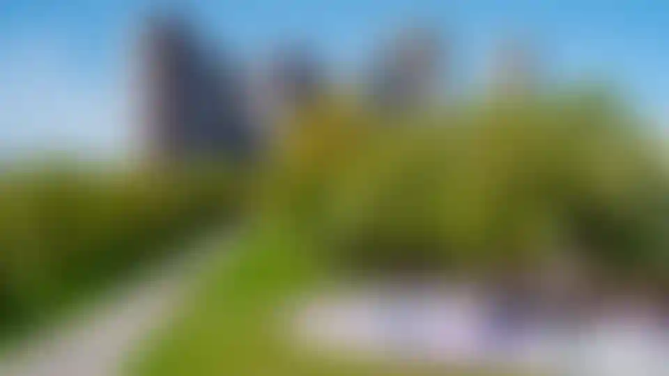 Изображение галереи