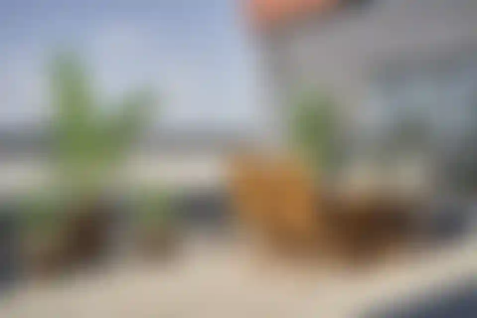 Изображение галереи