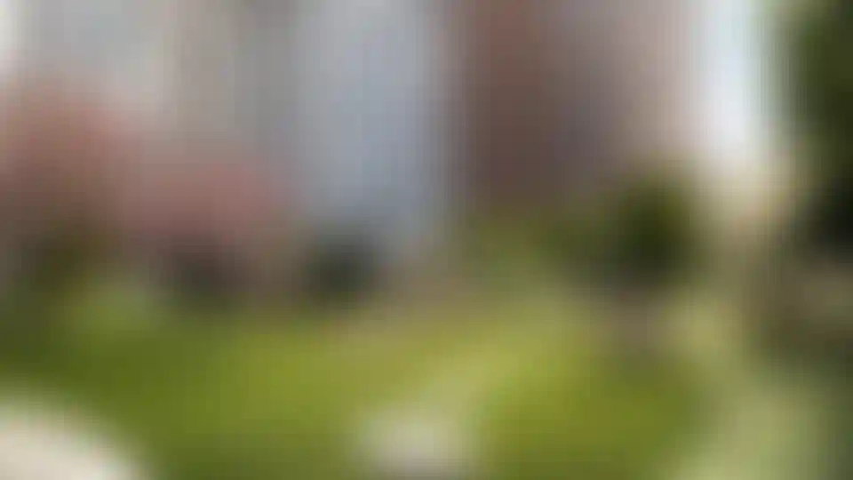 Изображение галереи