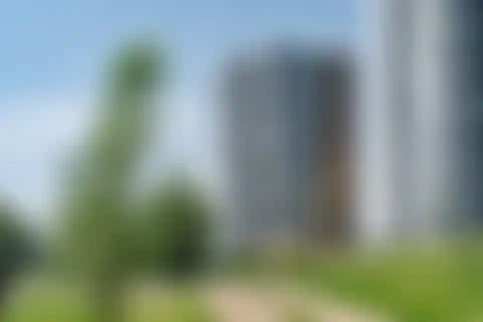 Изображение галереи