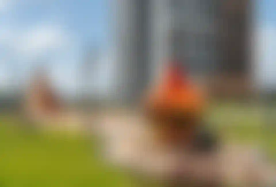 Изображение галереи