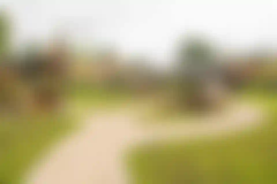 Изображение галереи