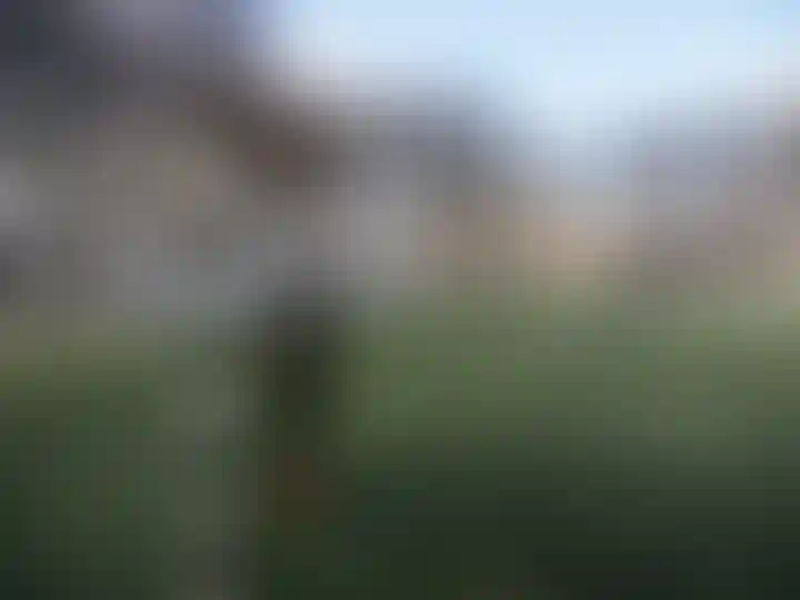 Изображение галереи