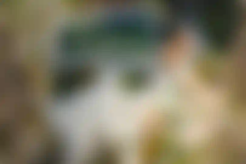 Изображение галереи