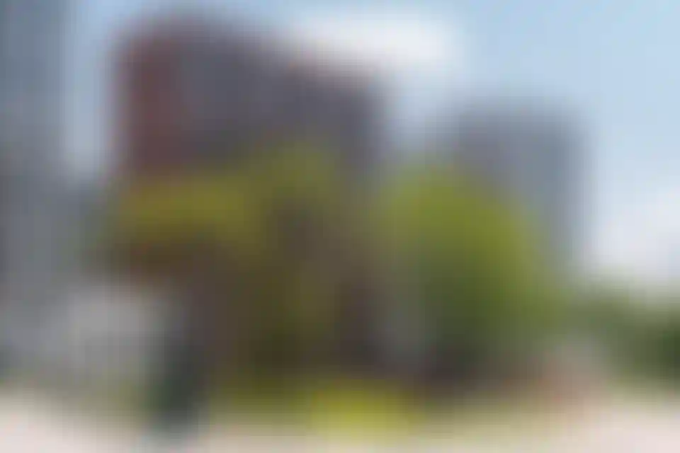 Изображение галереи