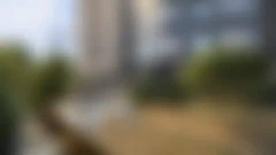 Изображение галереи