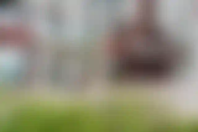 Изображение галереи