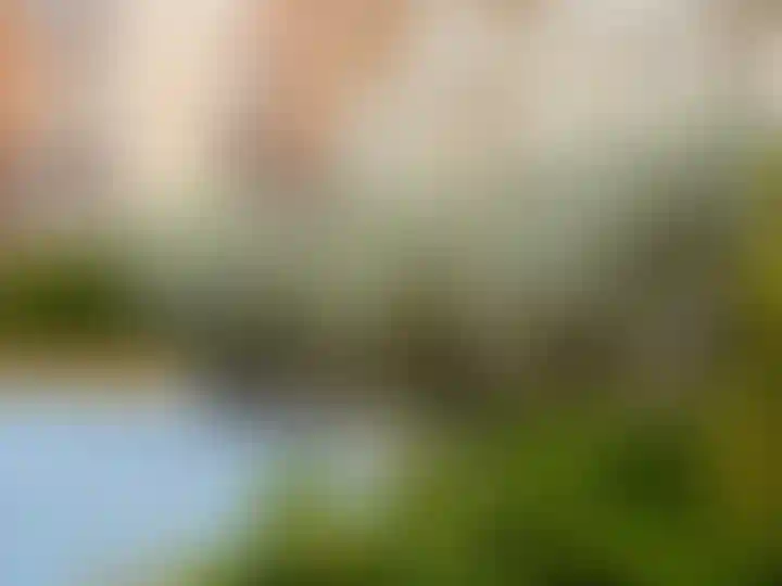 Изображение галереи