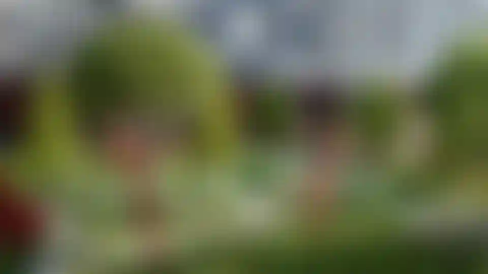 Изображение галереи