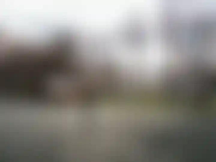 Изображение галереи