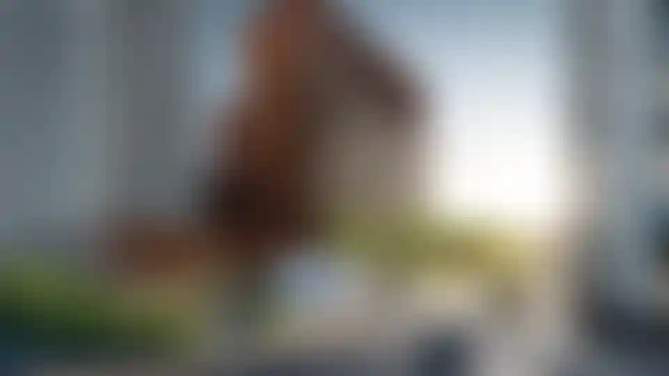 Изображение галереи