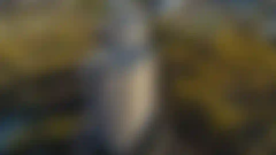 Изображение галереи