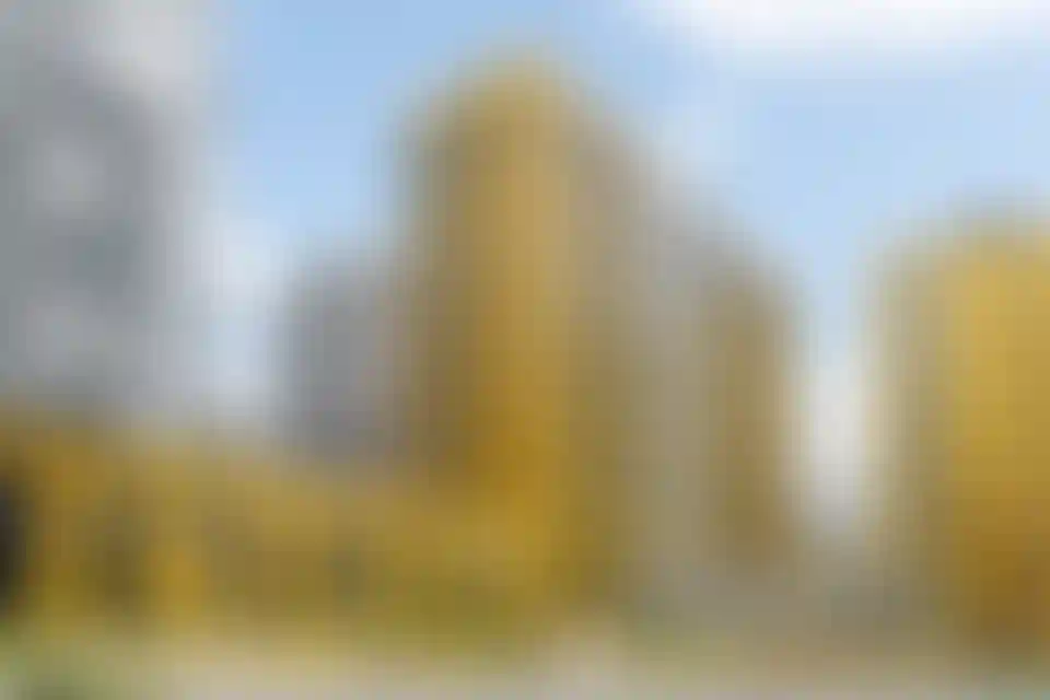 Изображение галереи