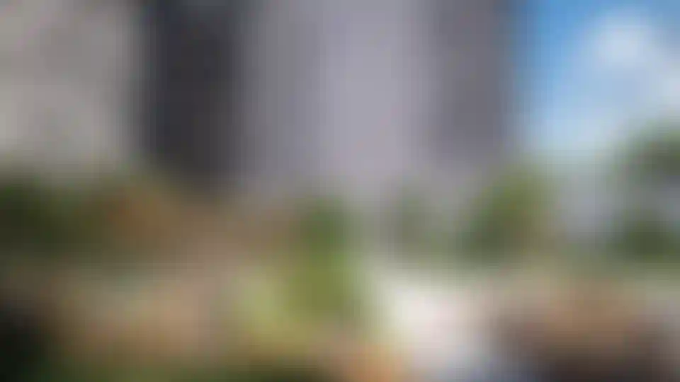 Изображение галереи