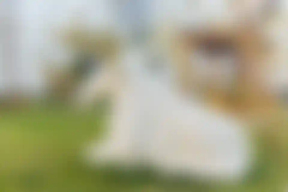 Изображение галереи