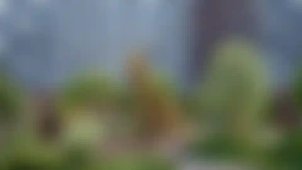 Изображение галереи