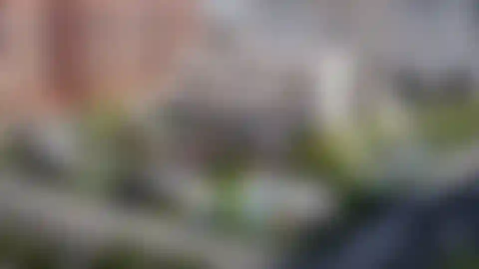 Изображение галереи