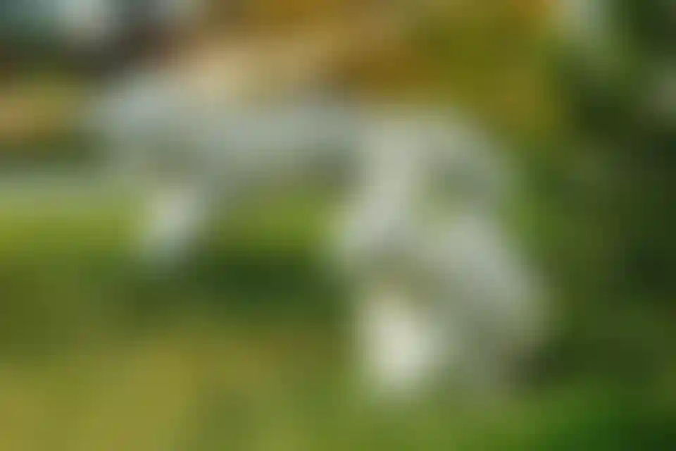 Изображение галереи