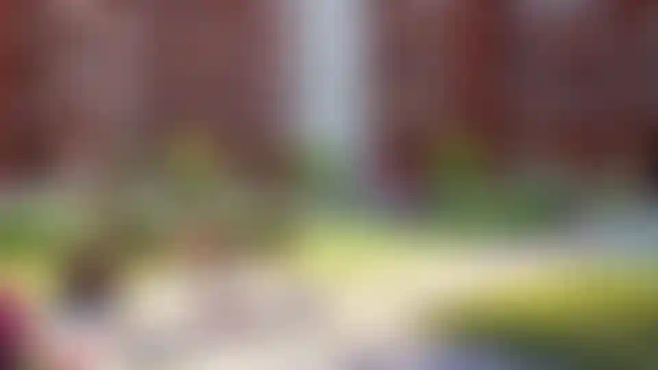 Изображение галереи