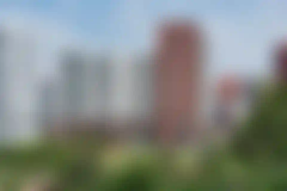 Изображение галереи